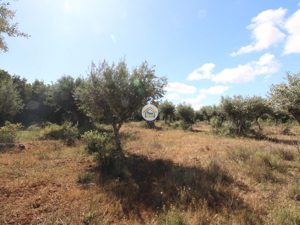 Helårsgrund i Borba, Evora - foto 2