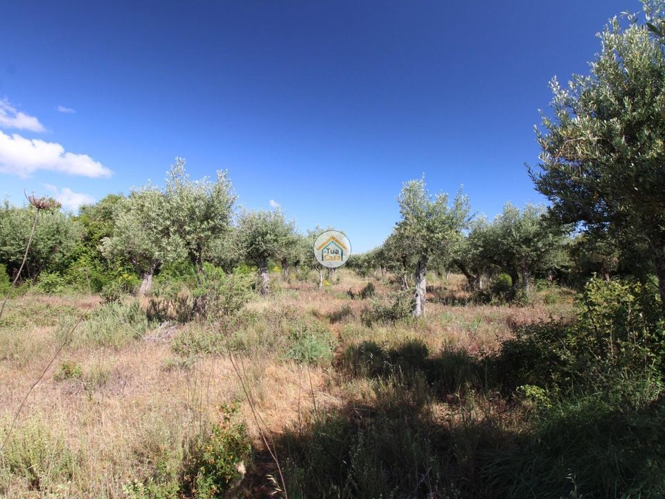 Helårsgrund i Borba, Evora - foto 5