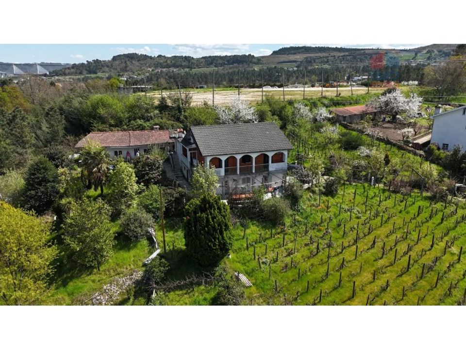 Farm i Vila Real, Vila Real - foto 4