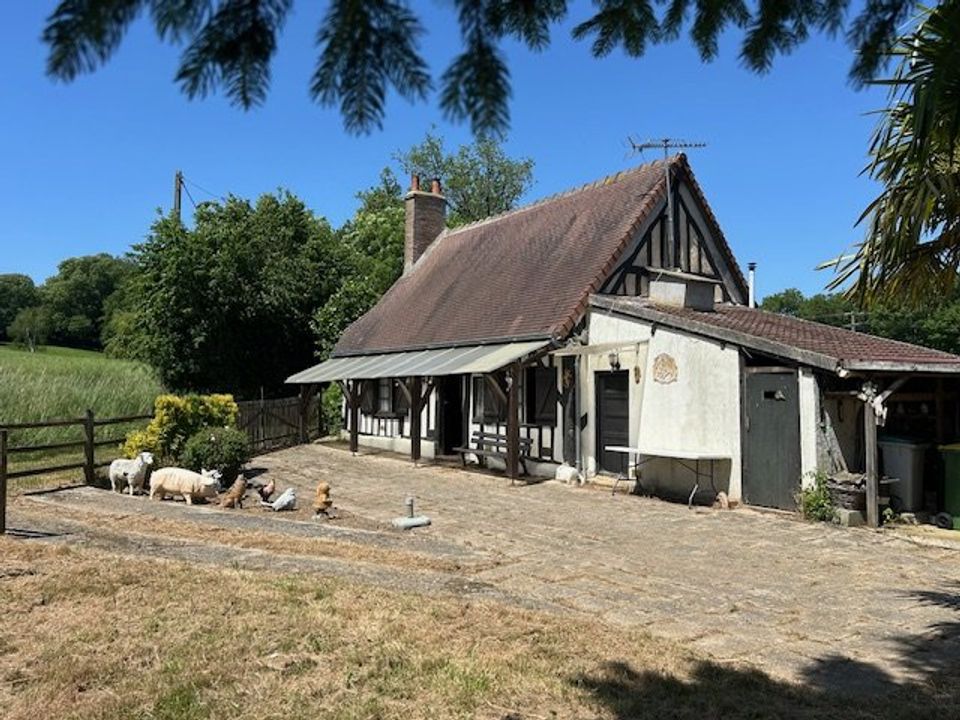 Landejendom i La Bazoche-Gouet, Eure-et-Loir - foto 1