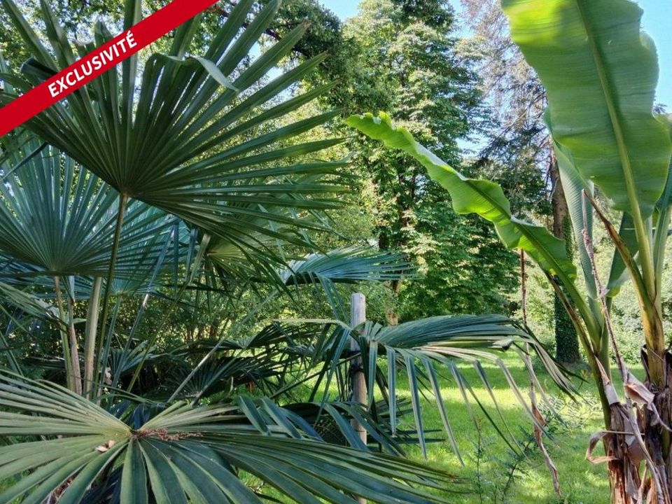 Helårsgrund i Joué-sur-Erdre, Loire-Atlantique - foto 3