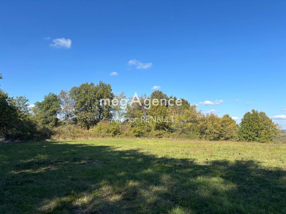 Terra a Saint-Leon-Sur-Vezere, Dordogne - foto 4