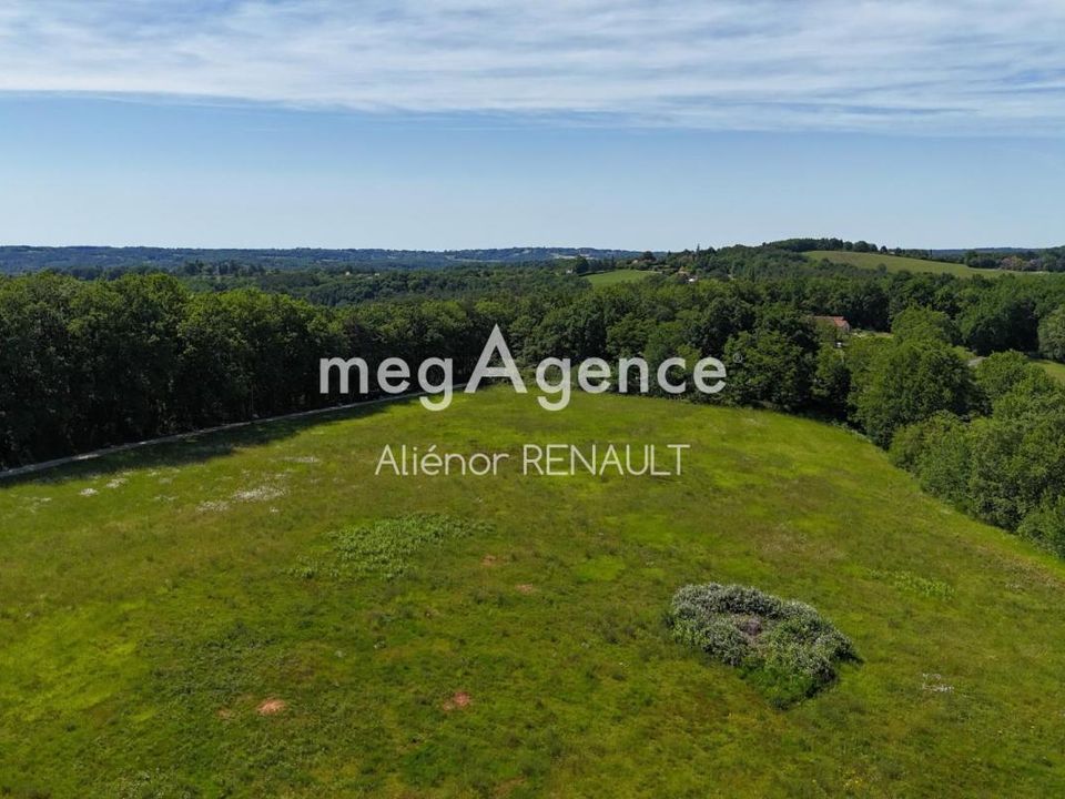 Terra a Saint-Leon-Sur-Vezere, Dordogne - foto 1
