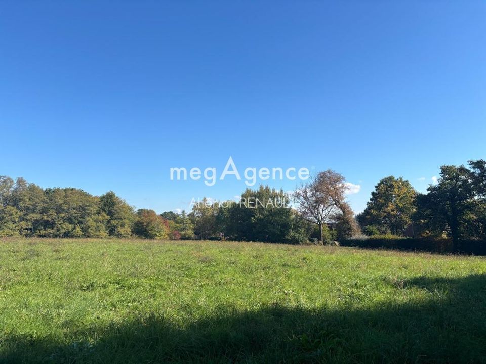 Terra a Saint-Leon-Sur-Vezere, Dordogne - foto 2