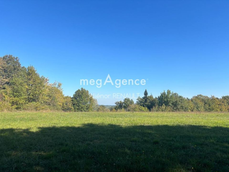 Terra a Saint-Leon-Sur-Vezere, Dordogne - foto 4