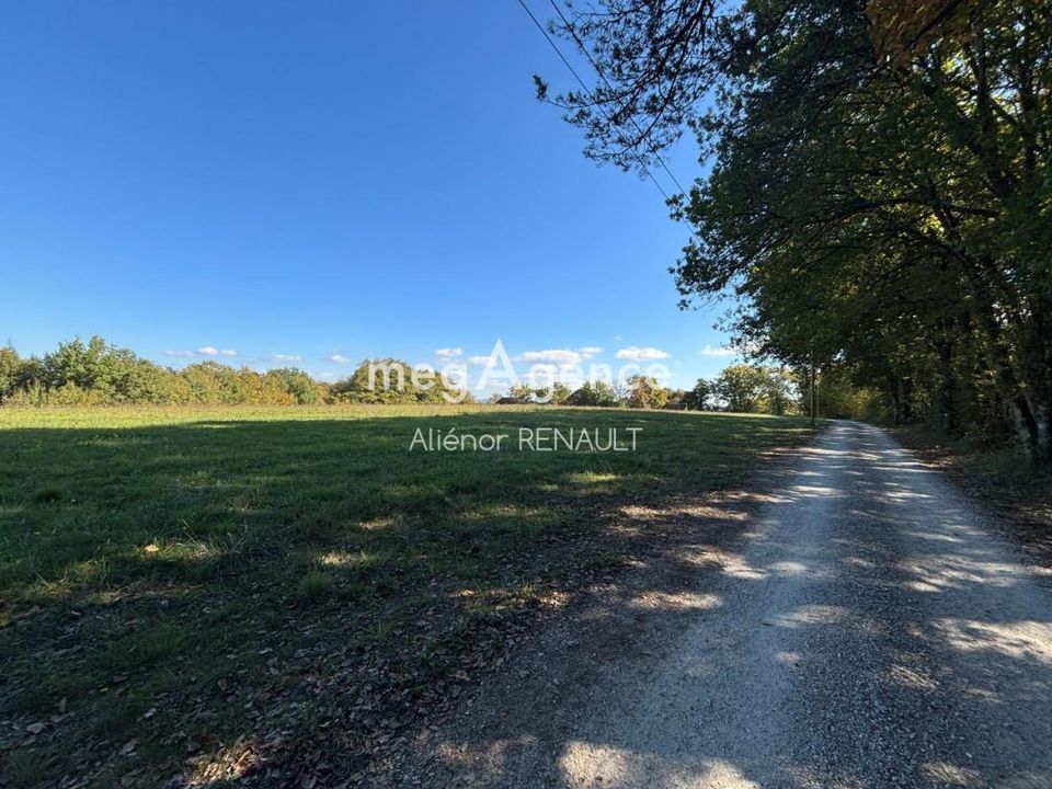 Terra a Saint-Leon-Sur-Vezere, Dordogne - foto 5