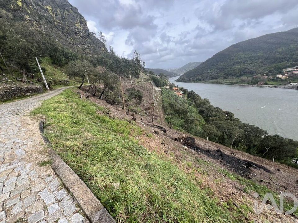 Helårsgrund i Penafiel, Porto - foto 3