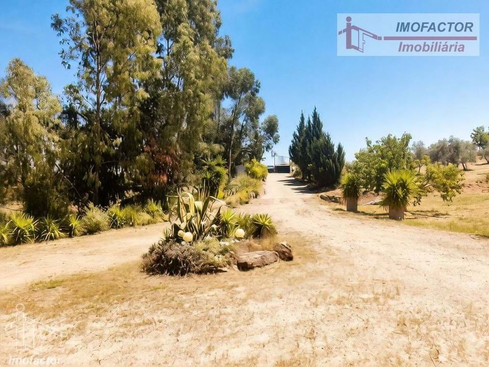 Villa i Castelo Branco, Castelo Branco - foto 4