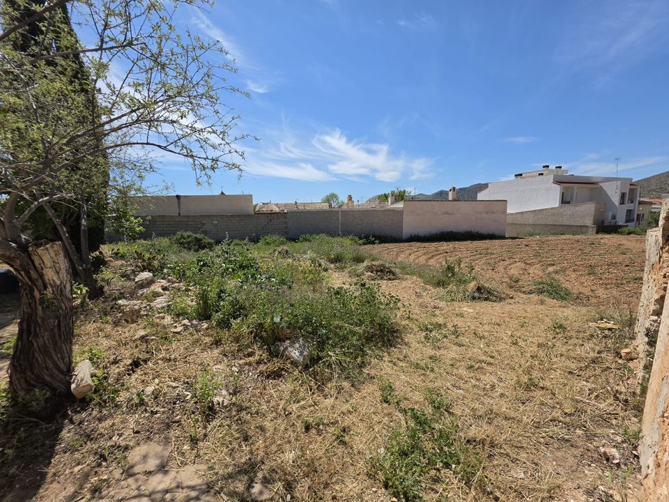 Helårsgrund i Hondon De Las Nieves, Alicante - foto 2