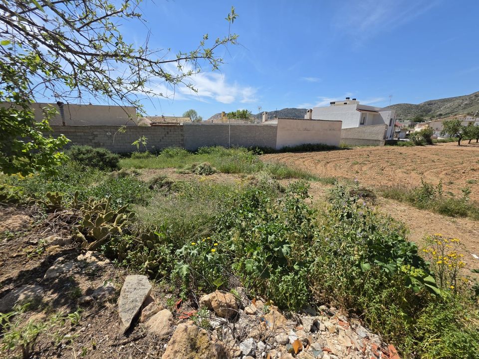 Helårsgrund i Hondon De Las Nieves, Alicante - foto 4