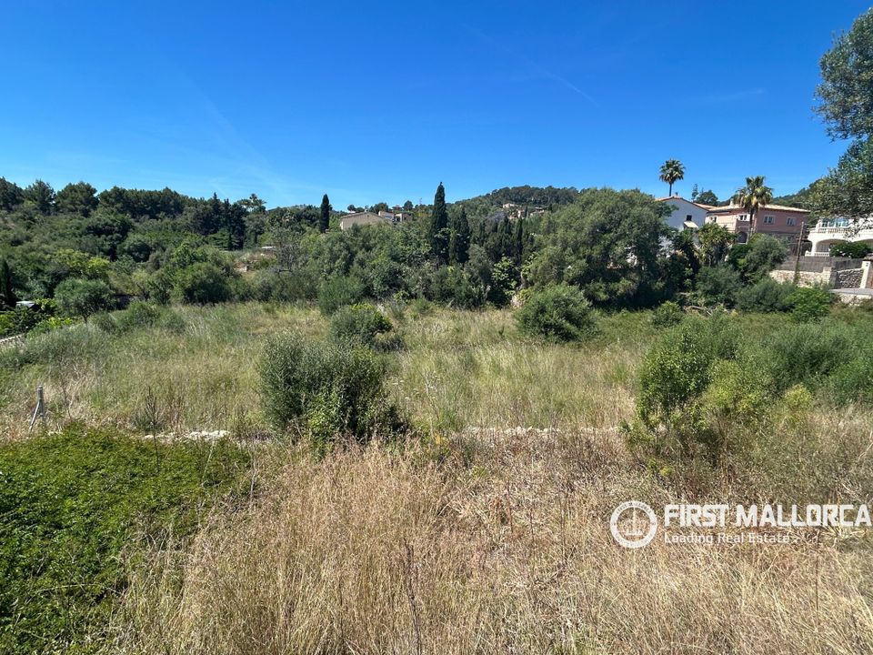 Grond in Es Capdella, Mallorca - foto 2