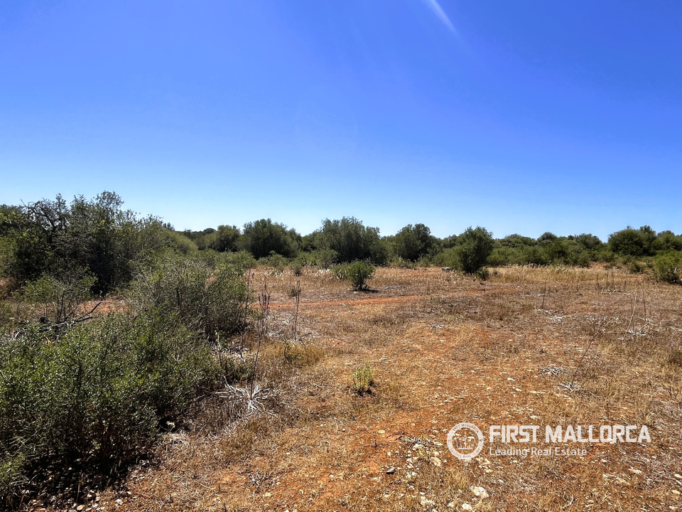 Helårsgrund i Campos, Mallorca - foto 3