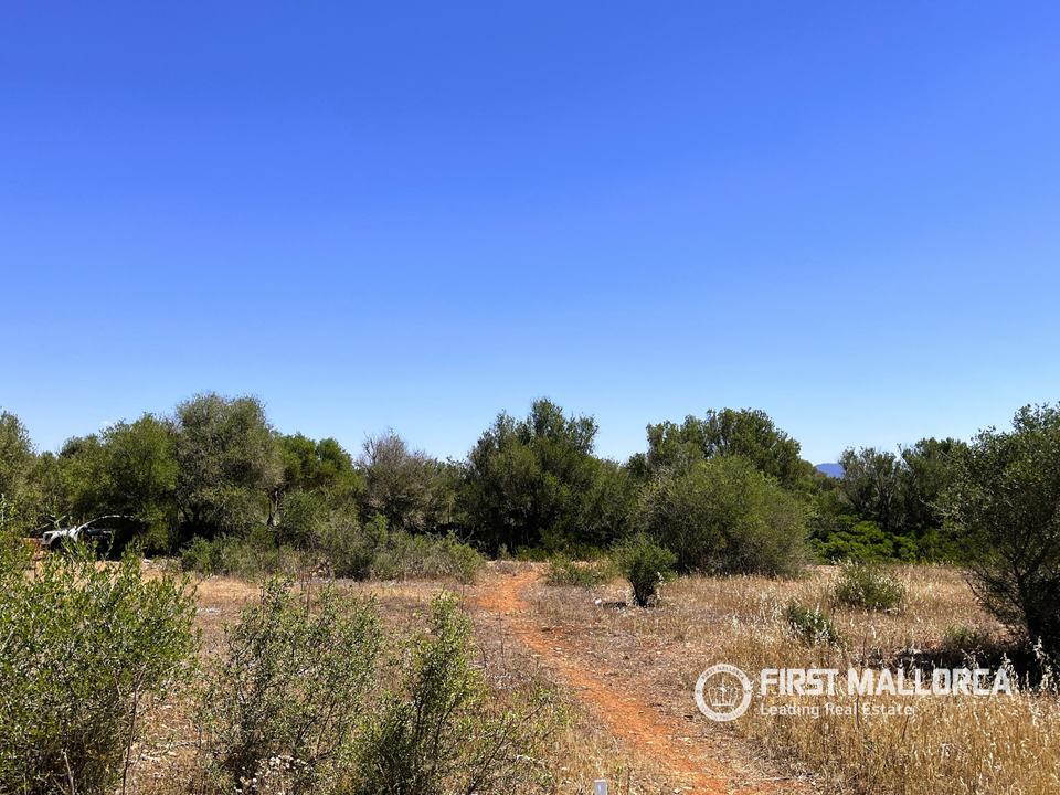 Helårsgrund i Campos, Mallorca - foto 5