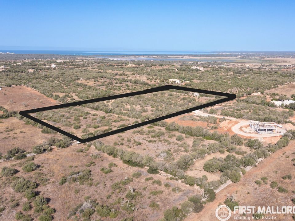 Helårsgrund i Campos, Mallorca - foto 2