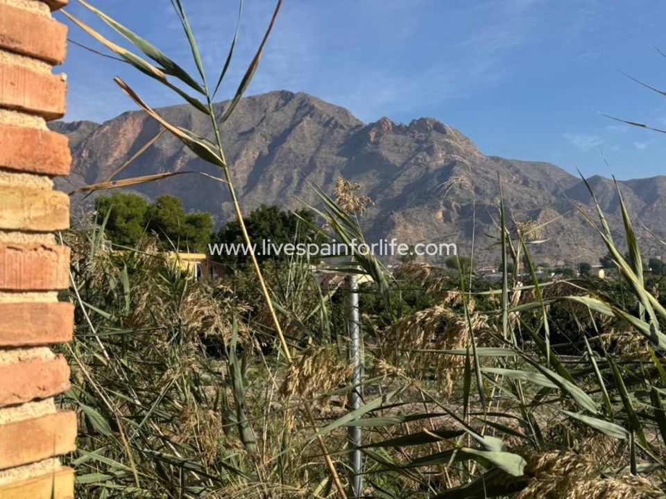 Landejendom i Orihuela, Alicante - foto 4