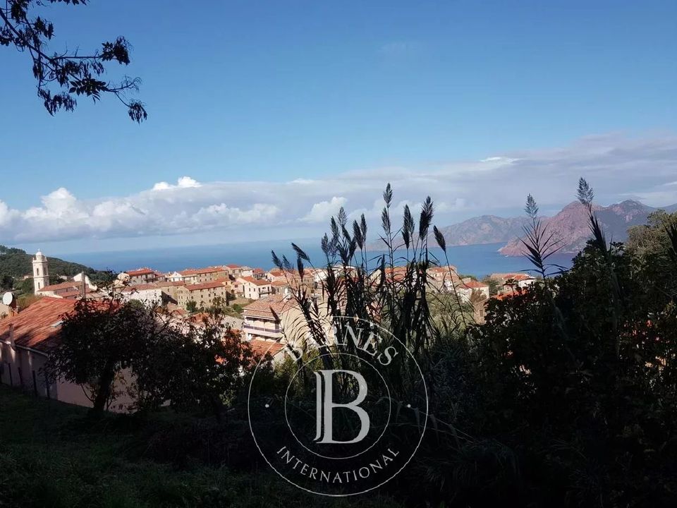 Tomt i Sagone, Corse-du-Sud - bilde 1