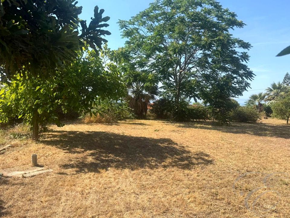 Landejendom i Algarrobo, Malaga - foto 4