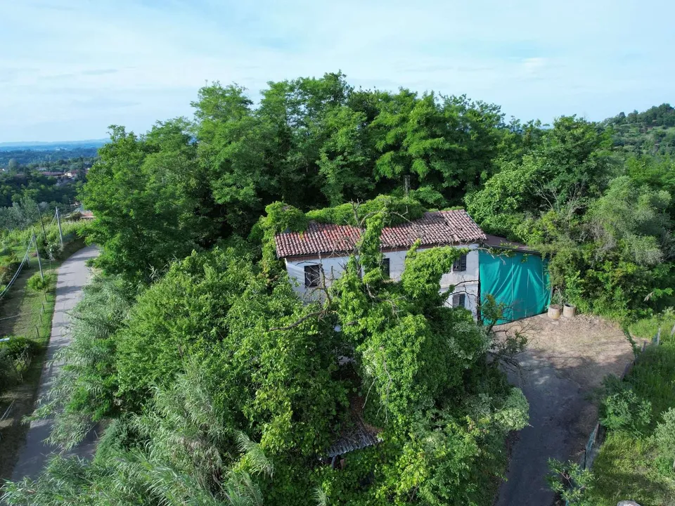 Farm hus i Montaldo Scarampi, Asti - foto 1
