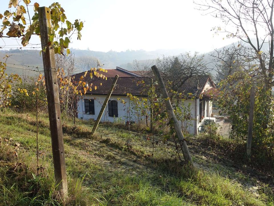 Farm hus i Castelnuovo Calcea, Asti - foto 1