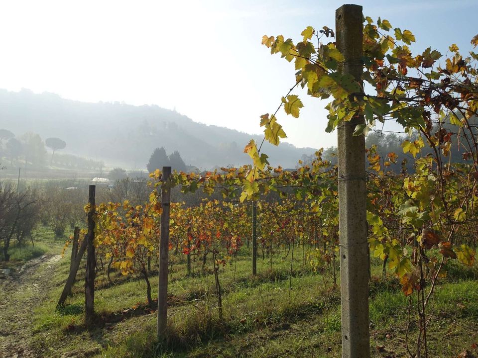 Farm hus i Castelnuovo Calcea, Asti - foto 2