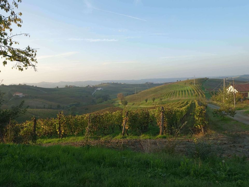 Farm hus i Nizza Monferrato, Asti - foto 1