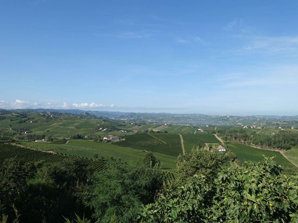 Farm hus i Nizza Monferrato, Asti - foto 2