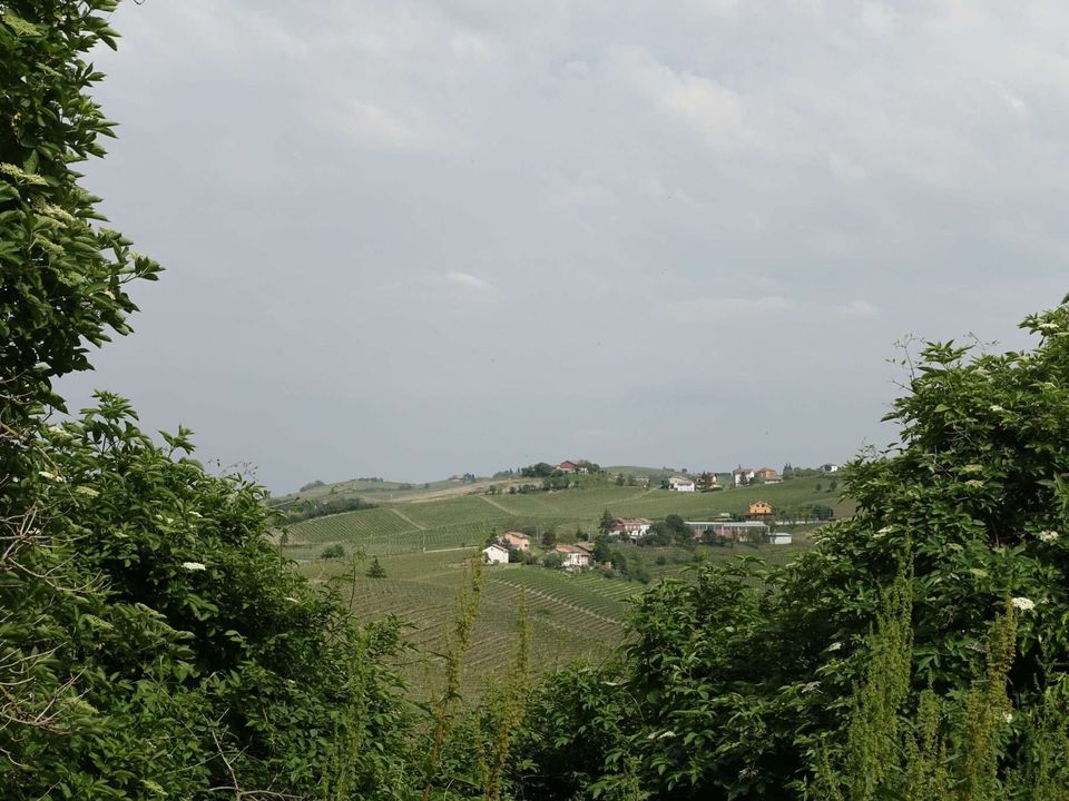 Farm hus i Nizza Monferrato, Asti - foto 5