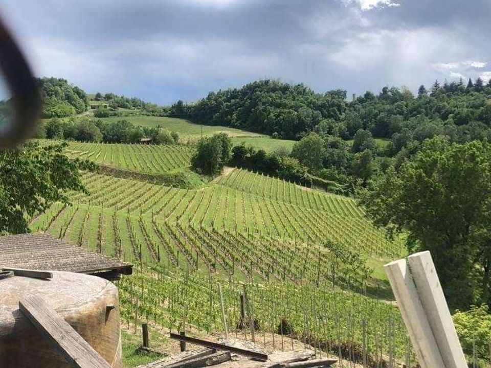 Farm hus i Rocchetta Palafea, Asti - foto 5