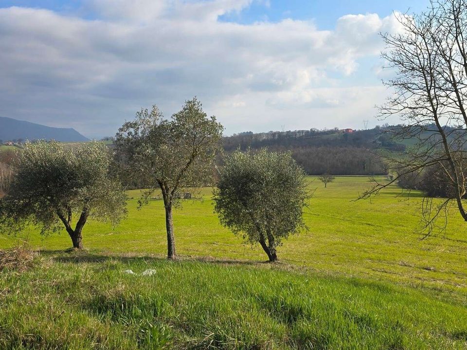 Villa i Acquasparta, Terni - foto 4