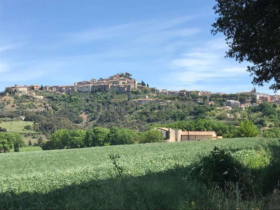 Terra a Amelia, Terni - foto 1