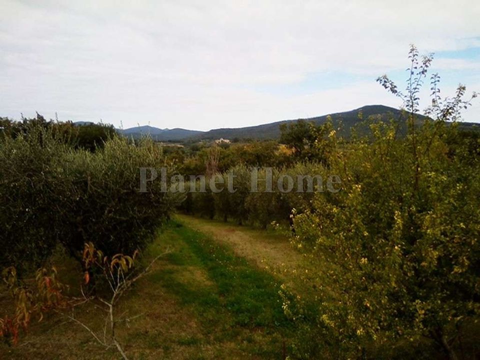 Helårsgrund i Amelia, Terni - foto 1