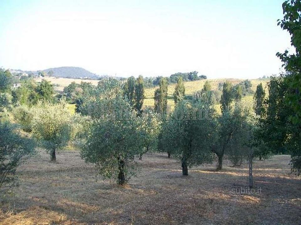 Helårsgrund i Amelia, Terni - foto 2