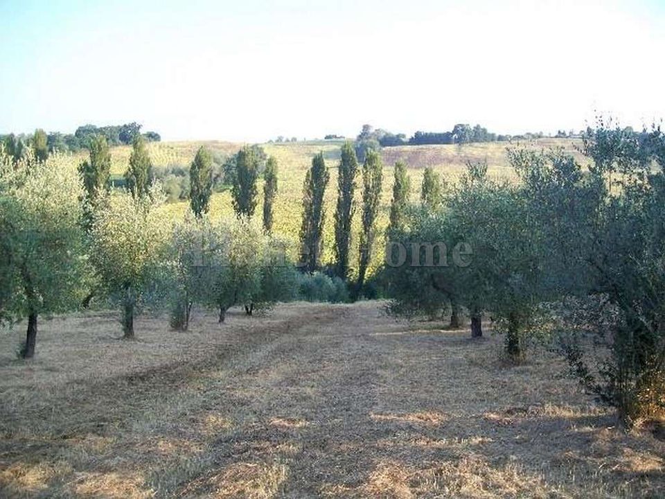 Helårsgrund i Amelia, Terni - foto 5