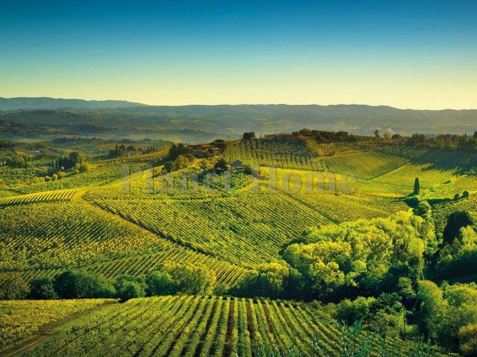 Landejendom i Cinigiano, Grosseto - foto 1