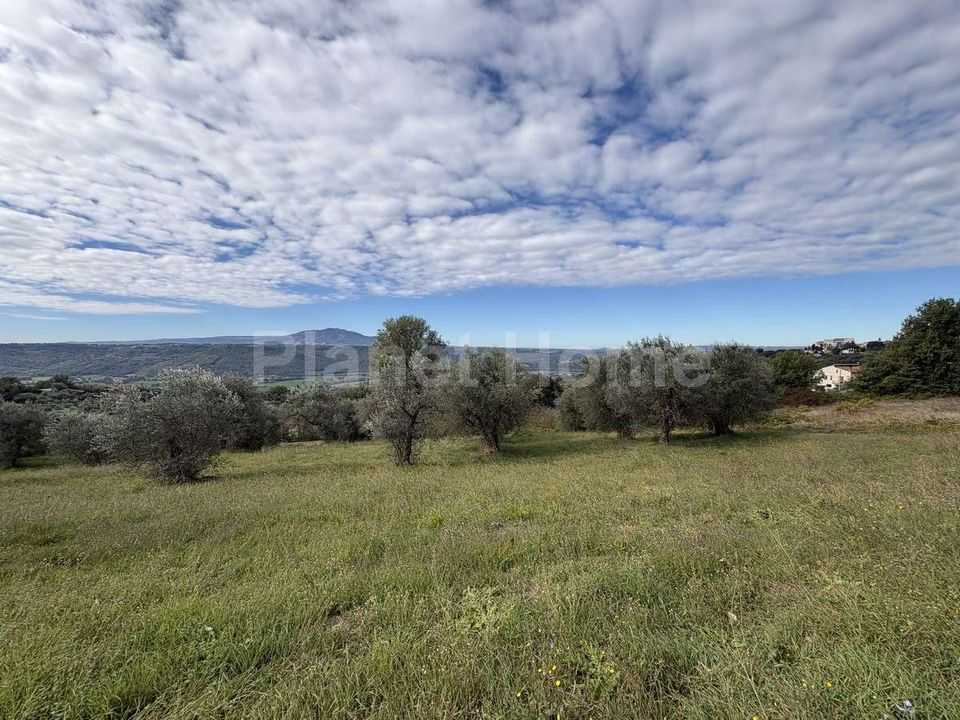 Terra a Gualdo Cattaneo, Perugia - foto 1
