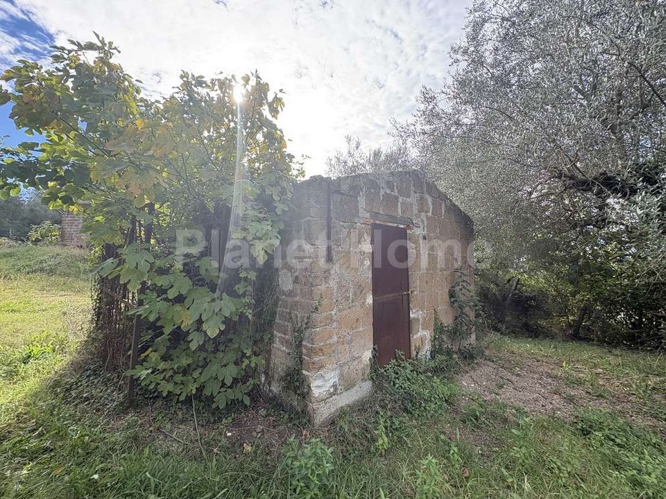 Terra a Gualdo Cattaneo, Perugia - foto 5
