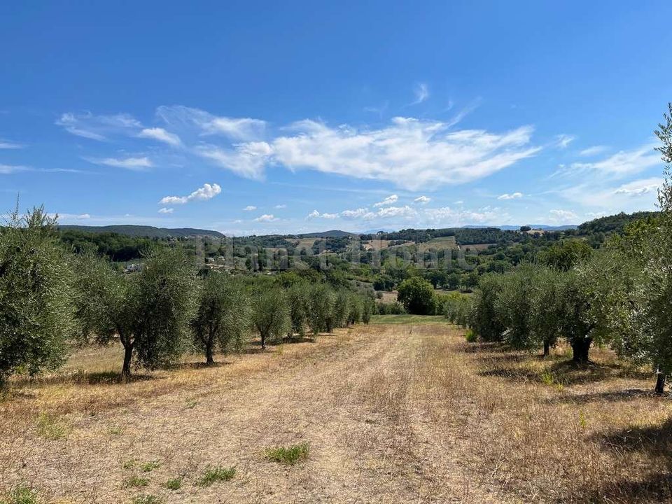 Helårsgrund i Amelia, Terni - foto 2