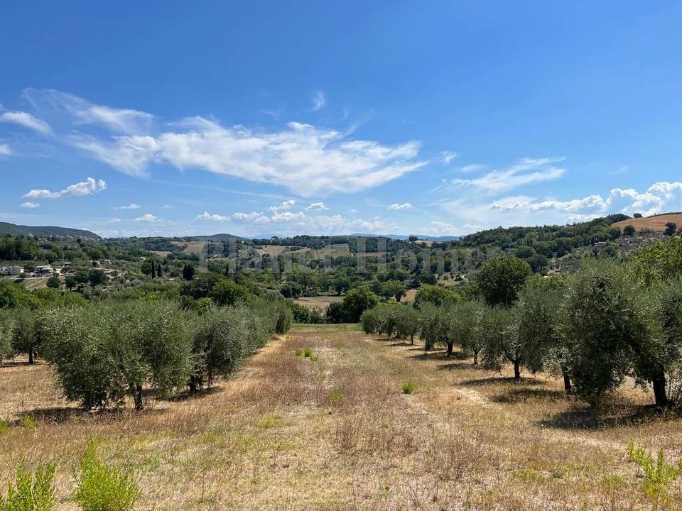 Helårsgrund i Amelia, Terni - foto 3