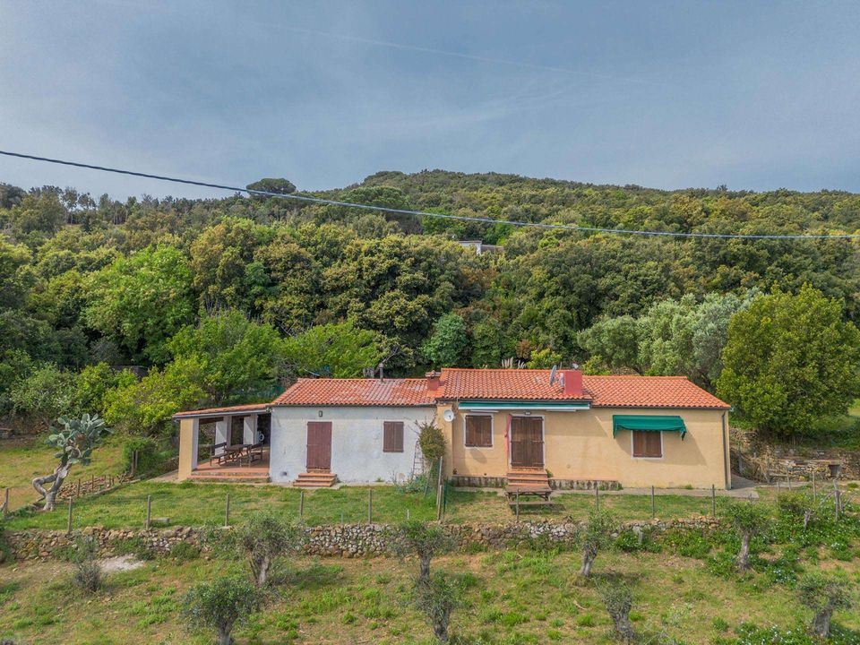Farm hus i Marciana Marina, Livorno - foto 1
