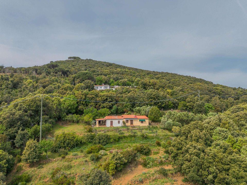Farm hus i Marciana Marina, Livorno - foto 2