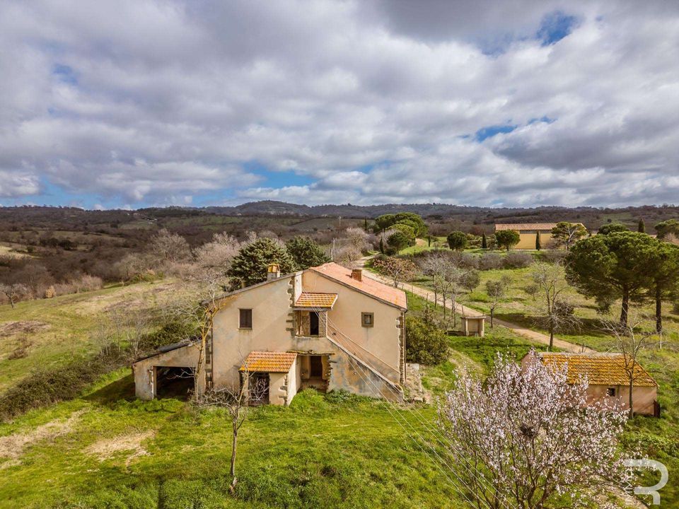 Gårdshus i Scansano, Grosseto - bilde 2