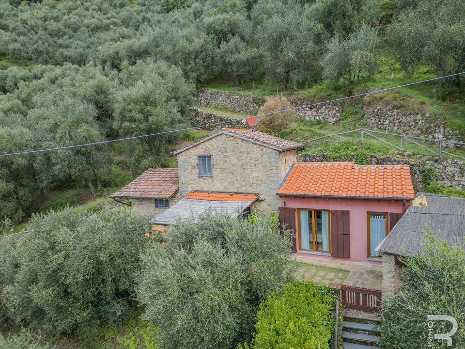 Farm hus i Bagni di Lucca, Lucca - foto 3