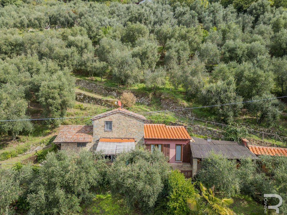 Farm hus i Bagni di Lucca, Lucca - foto 4