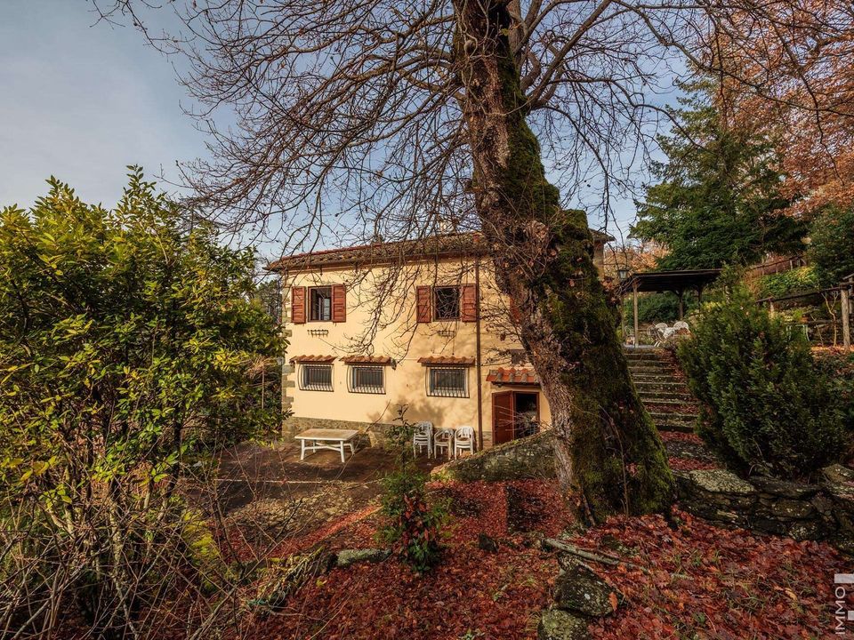 Masia a Rufina, Florence - foto 5