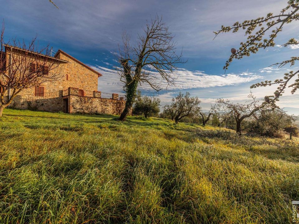 Gårdshus i Casole d'Elsa, Siena - bilde 3