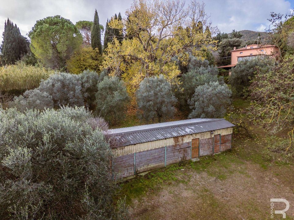 Villa a Collesalvetti, Livorno - foto 3