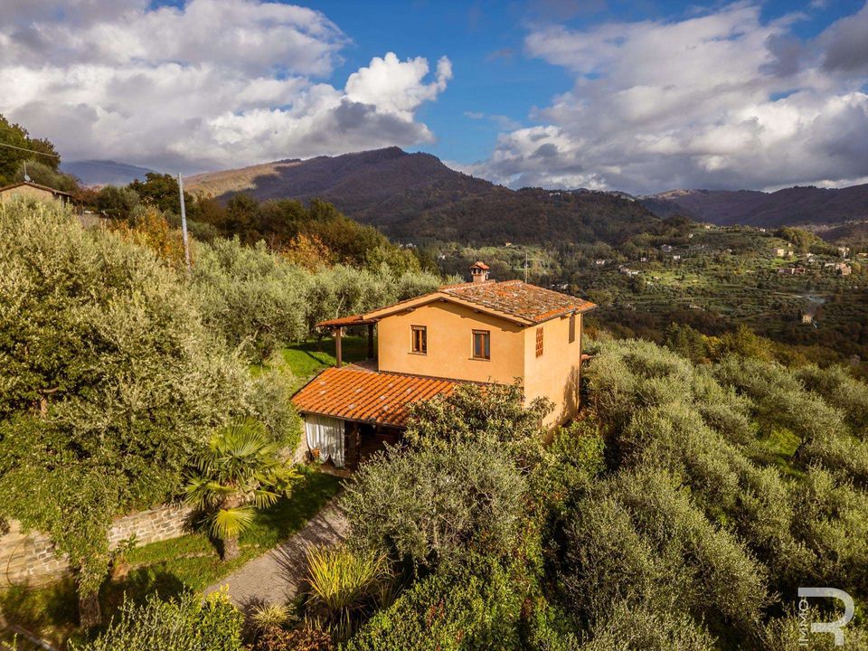 Farm hus i Pescia, Pistoia - foto 1
