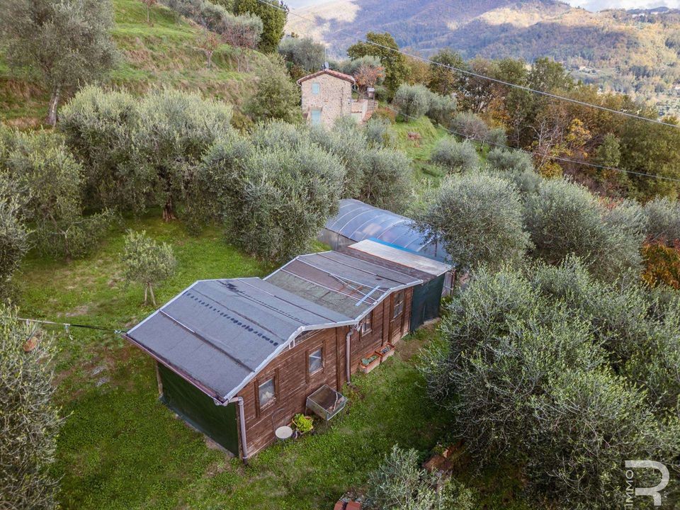 Farm hus i Pescia, Pistoia - foto 2