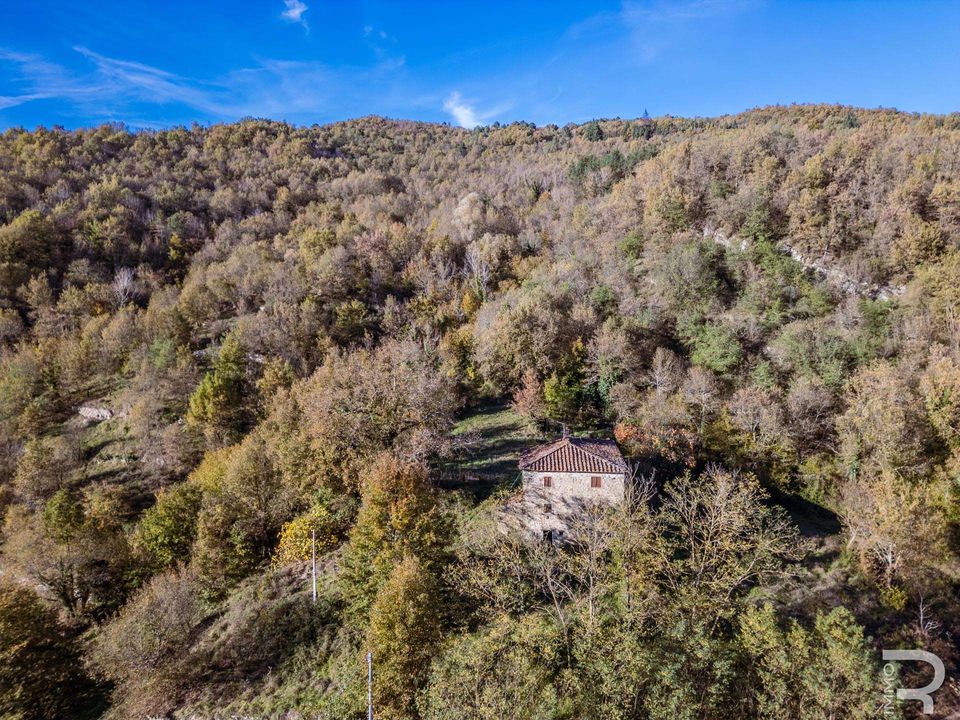 Farm hus i Castel Focognano, Arezzo - foto 5