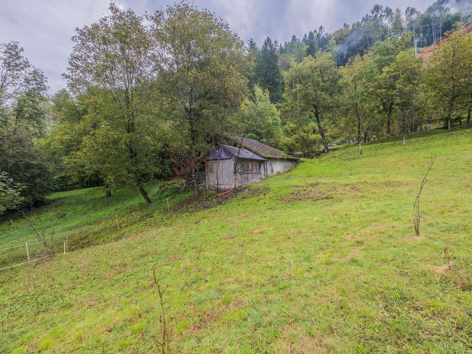 Landejendom i Borgo Lares, Trento - foto 4